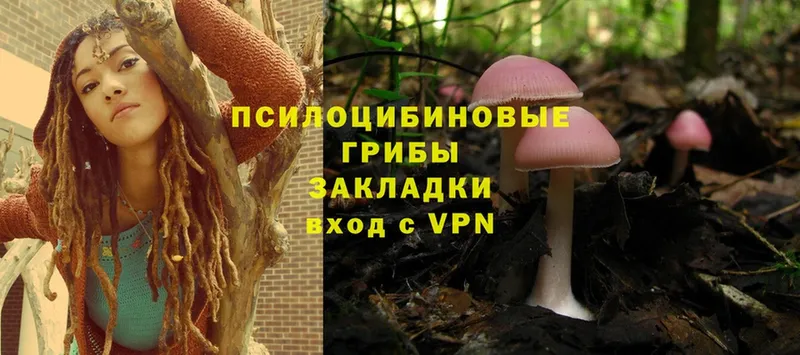 даркнет наркотические препараты  Борисоглебск  Галлюциногенные грибы Cubensis 